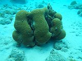 Curacao 04-12 167